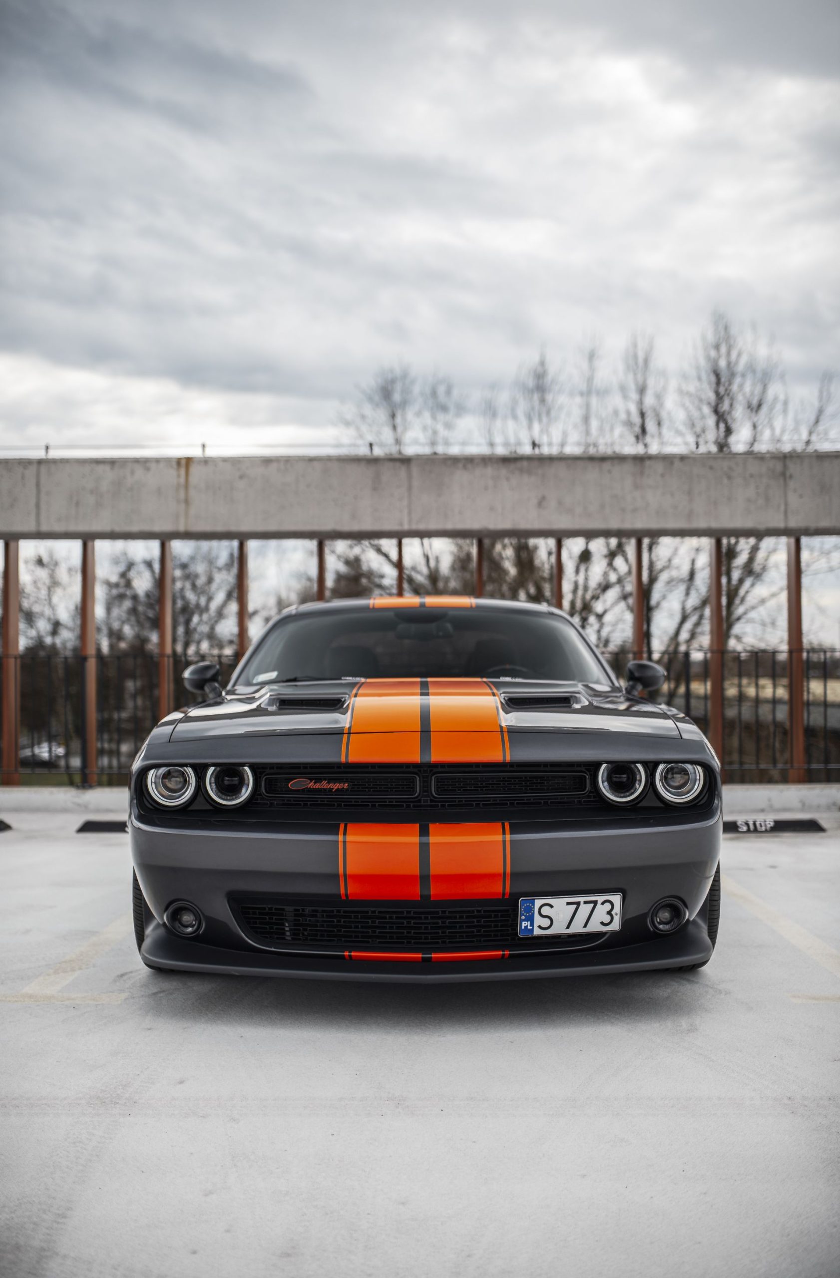 Dodge Challenger Grey Łowcy Mocy Wypożyczalnia Katowice